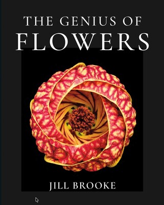 Genius of Flowers Genius of Flowers