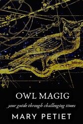 Owl Magic Owl Magic