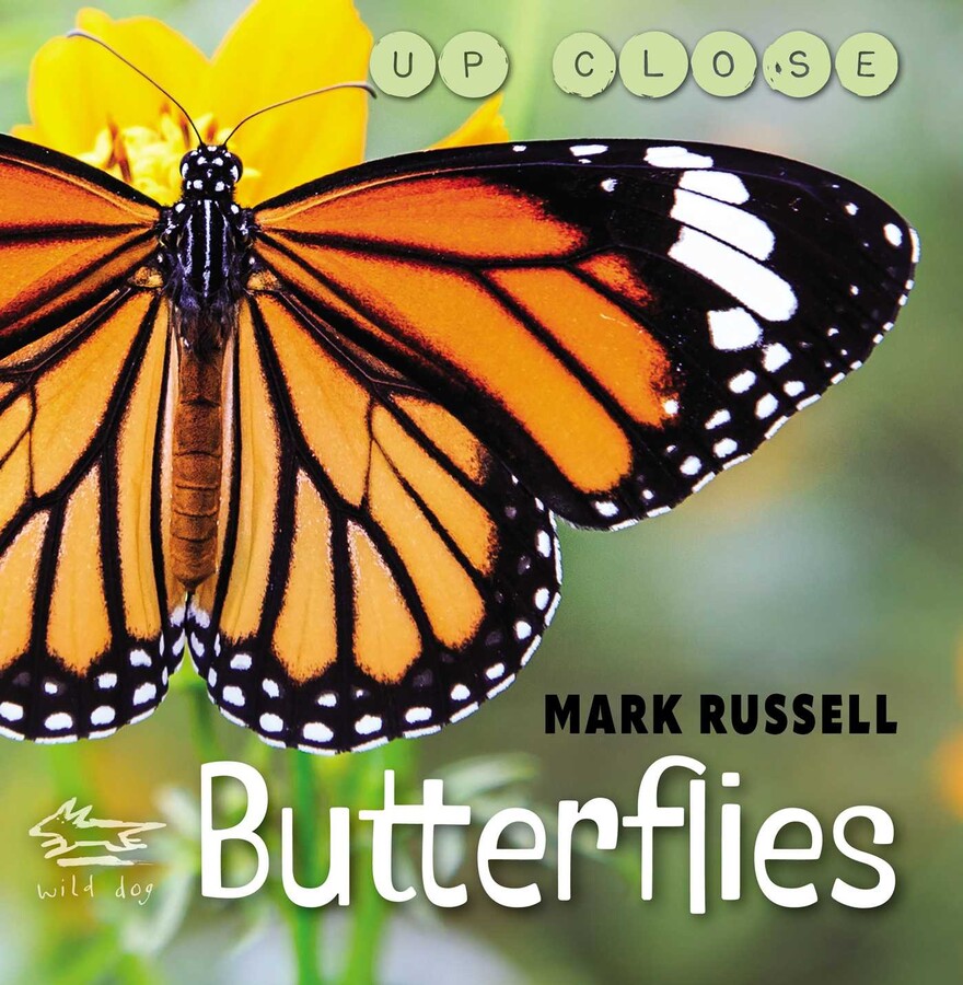 Butterflies