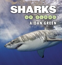 Sharks Up Close
