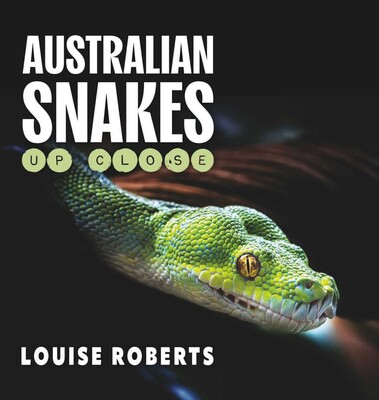 Australian Snakes Up Close Australian Snakes Up Close
