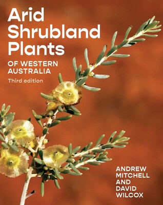 Arid Shrubland Plants Arid Shrubland Plants