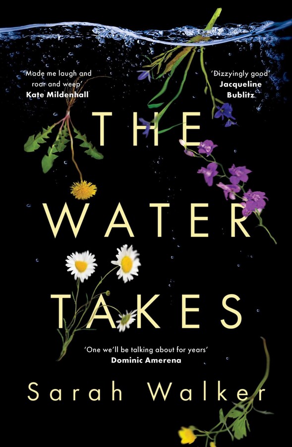 Water Takes