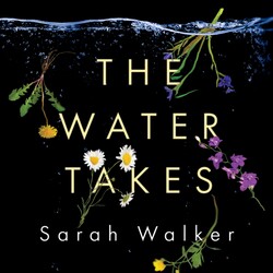 The Water Takes