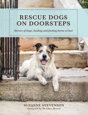 Rescue Dogs on Doorsteps Rescue Dogs on Doorsteps