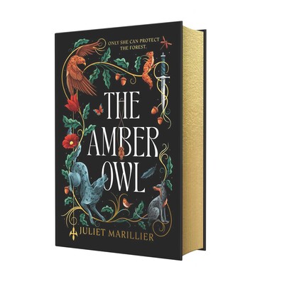Amber Owl Amber Owl