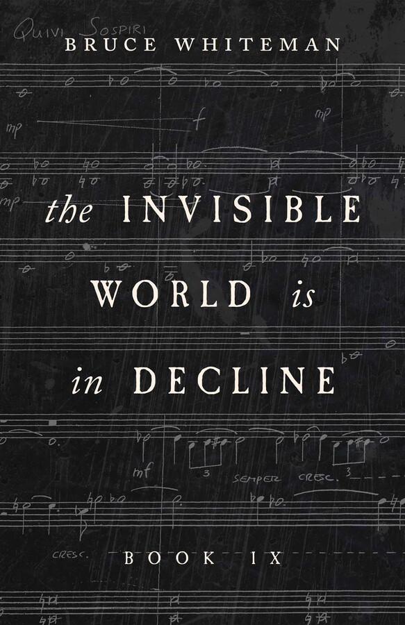 Invisible World Is in Decline Book IX
