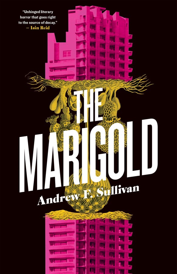 Marigold