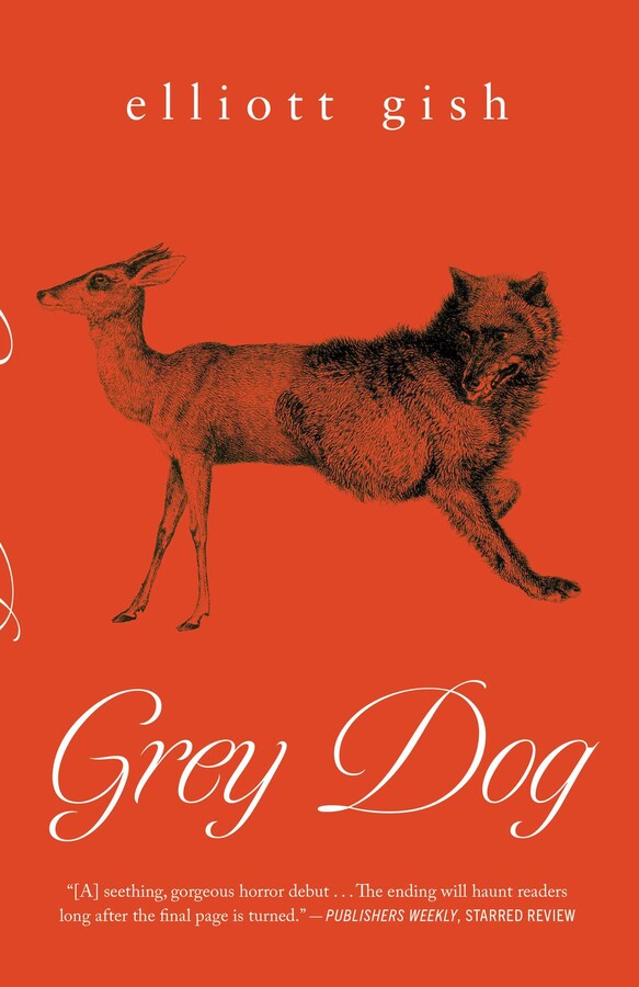Grey Dog