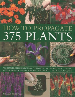 How to Propagate 375 Plants How to Propagate 375 Plants