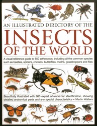 An Illustrated Directory of the Insects of the World | Book by