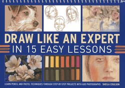 Draw Like An Expert In 15 Easy Lessons