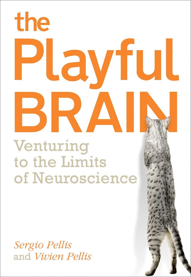 Playful Brain