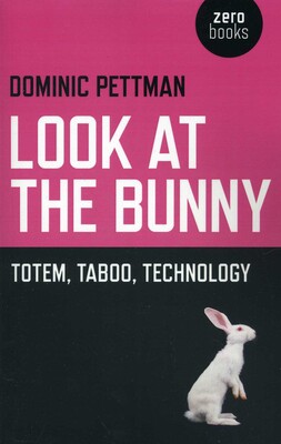Look at the Bunny Look at the Bunny