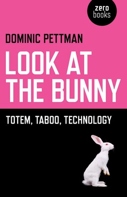 Look at the Bunny Look at the Bunny