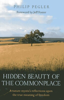 Hidden Beauty of the Commonplace Hidden Beauty of the Commonplace