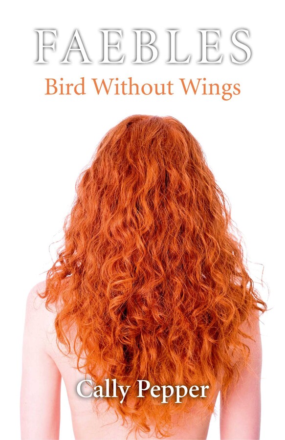 Bird Without Wings