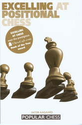 Excelling at Positional Chess