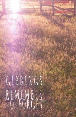 Remember to Forget Remember to Forget