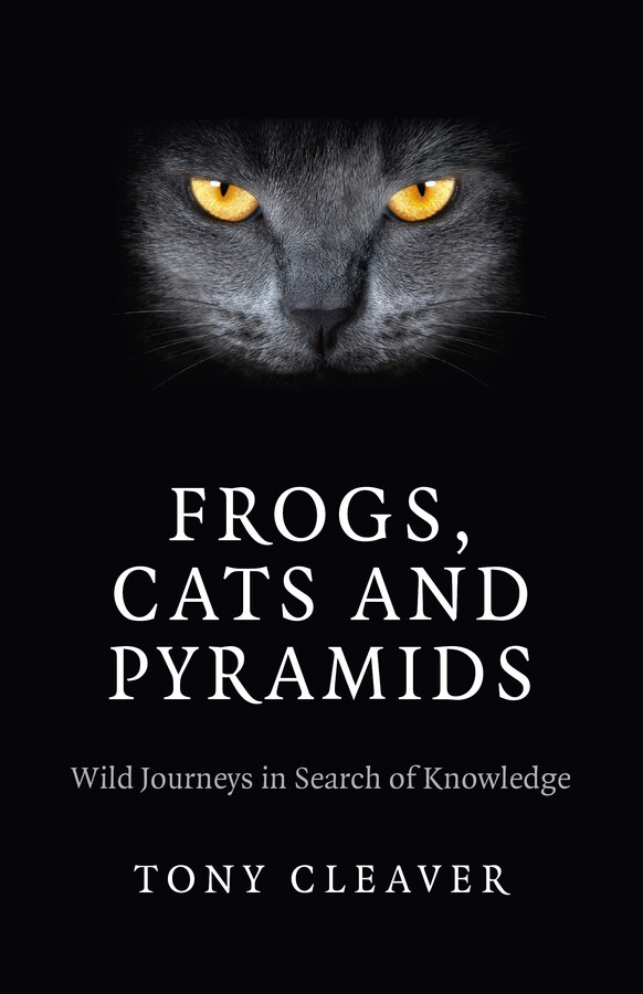 Frogs, Cats and Pyramids