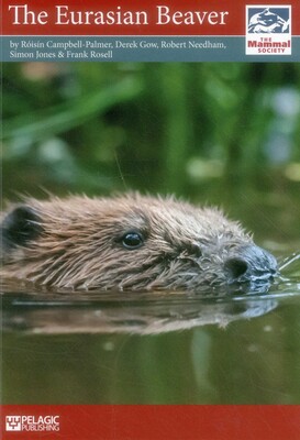 Eurasian Beaver Eurasian Beaver