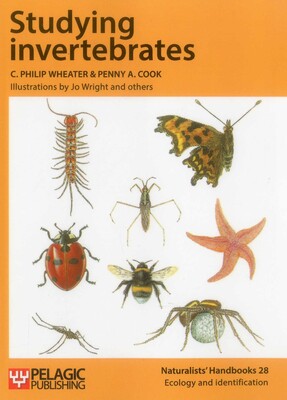 Studying Invertebrates Studying Invertebrates