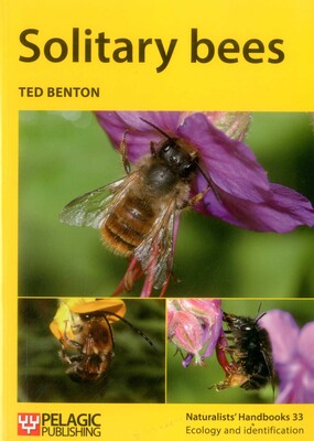 Solitary Bees Solitary Bees