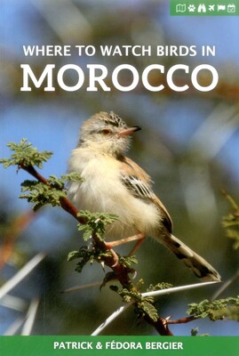 Where to Watch Birds in Morocco Where to Watch Birds in Morocco