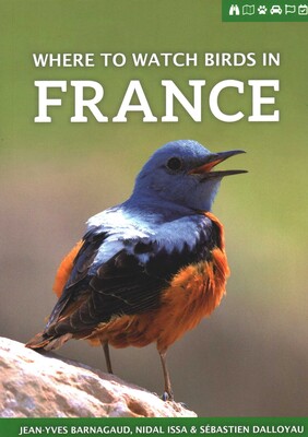 Where to Watch Birds in France Where to Watch Birds in France