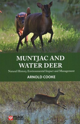 Muntjac and Water Deer Muntjac and Water Deer