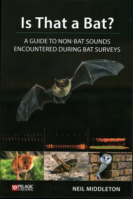 Is That a Bat? Is That a Bat?