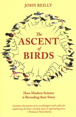 Ascent of Birds