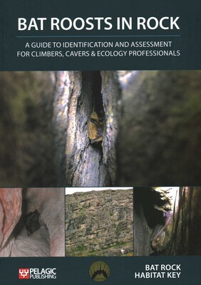 Bat Roosts in Rock Bat Roosts in Rock