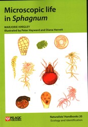 Microscopic Life in Sphagnum
