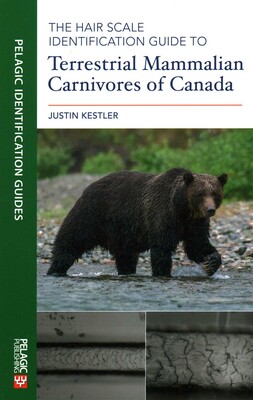 Hair Scale Identification Guide to Terrestrial Mammalian Carnivores of Canada Hair Scale Identification Guide to Terrestrial Mammalian Carnivores of Canada