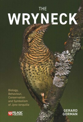 Wryneck Wryneck