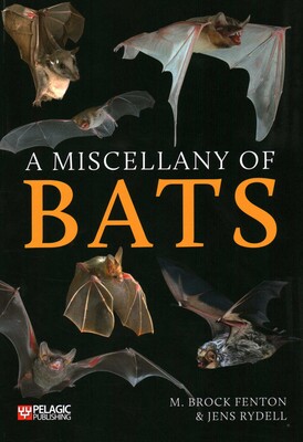 Miscellany of Bats Miscellany of Bats
