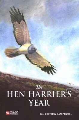 Hen Harrier's Year Hen Harrier's Year
