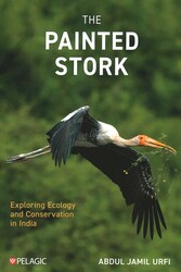 Painted Stork