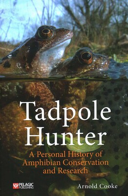 Tadpole Hunter Tadpole Hunter