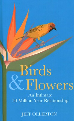 Birds and Flowers Birds and Flowers