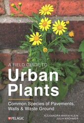 A Field Guide to Urban Plants A Field Guide to Urban Plants