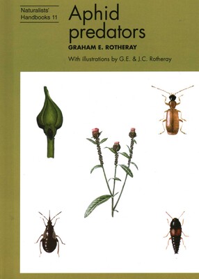 Aphid predators Aphid predators