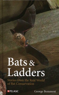 Bats & Ladders Bats & Ladders