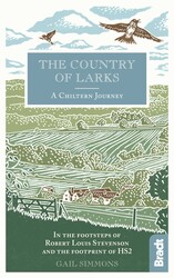 The Country of Larks