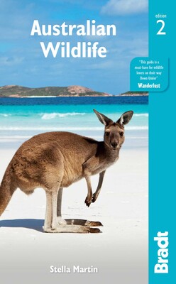 Australian Wildlife Australian Wildlife