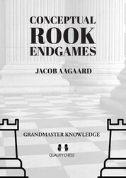 Conceptual Rook Endgames Conceptual Rook Endgames
