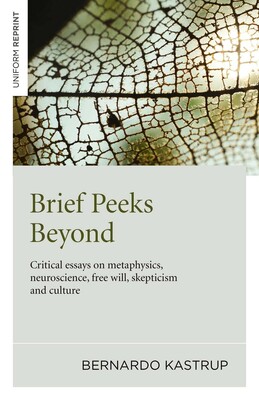 Brief Peeks Beyond Brief Peeks Beyond