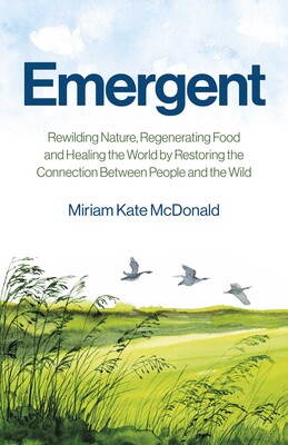 Emergent Emergent