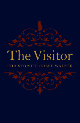 Visitor Visitor